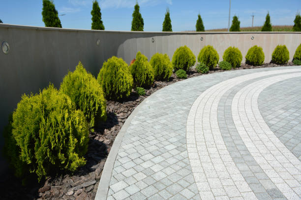 Best Driveway Pavers Near Me  in Thorndale, TX